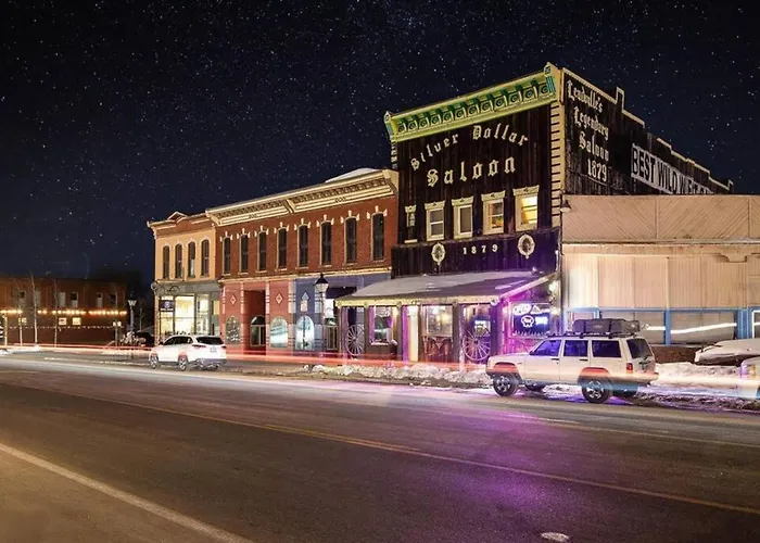 1 Spacious Private Room Dog Friendly Leadville