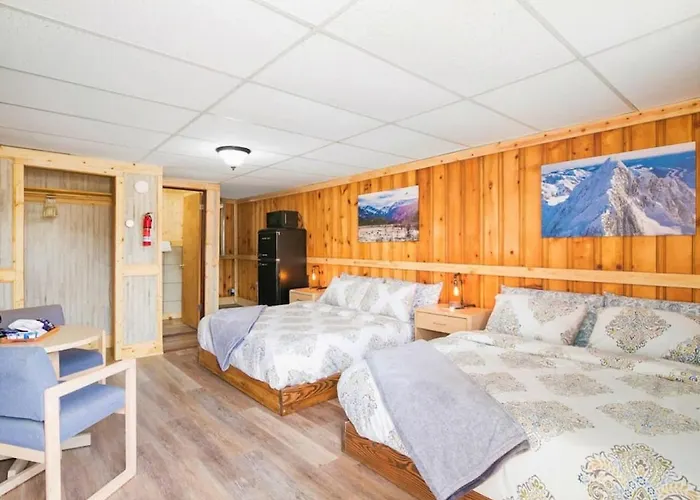 4 Spacious Dog Friendly Cozy Motel Room Leadville