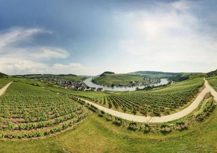Weingut Matthias Dostert / Culinarium