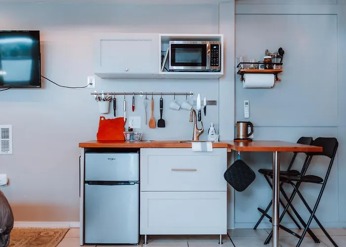 Swank House- Downtown Suite-Pet Friendly