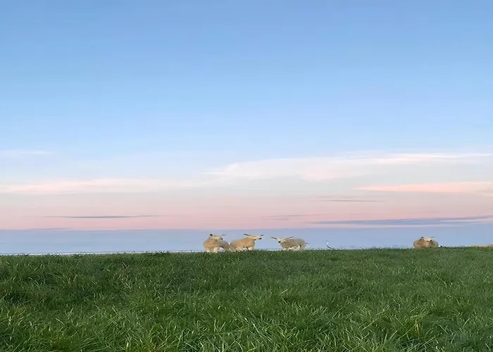 Träumeria