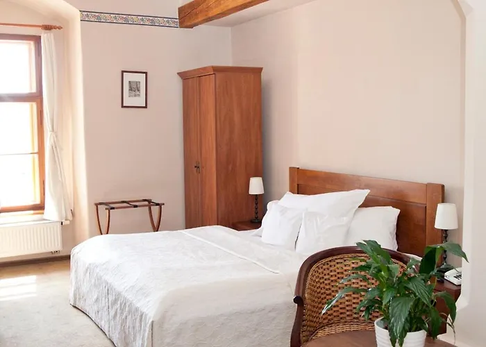 Hotel U Zlateho Lva