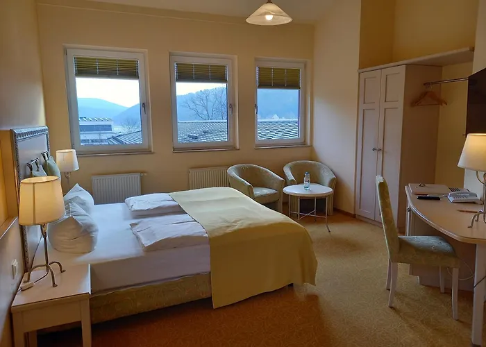 Parkhotel Bad Schandau - direkt an der Elbe