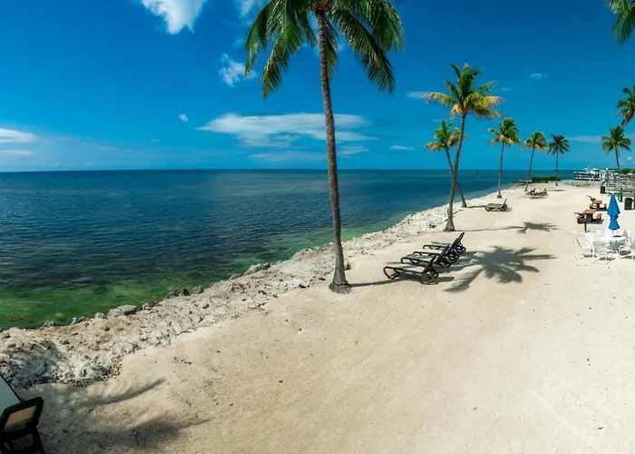 Caloosa Cove Resort By Coolvacay