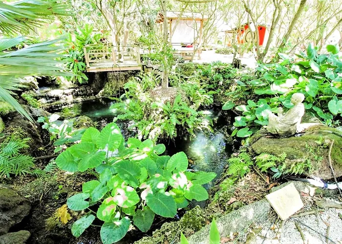 The Redlands Secret Garden Tiny House & Koi Lake