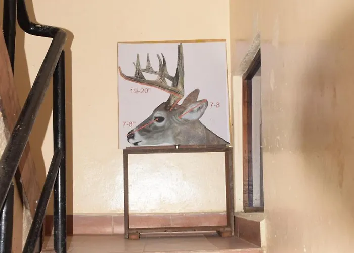 Cingaki Hotel