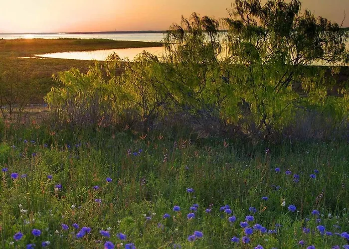 Bass Inn - Choke Canyon National Park