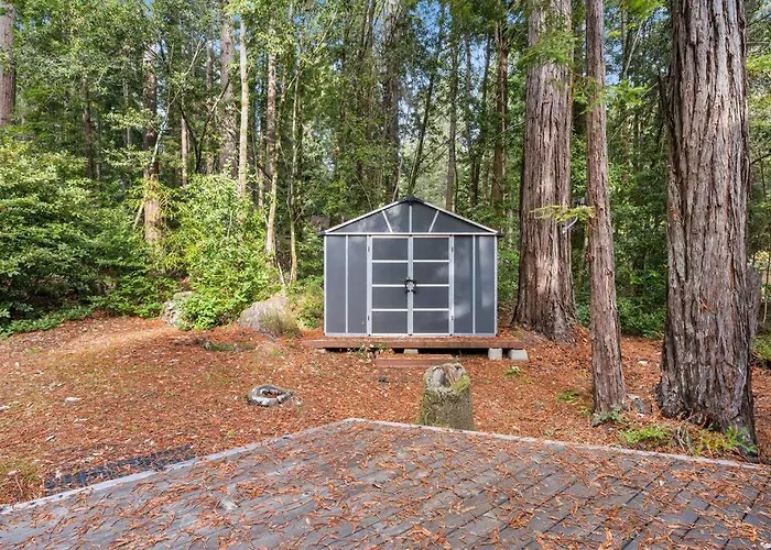 Grandma'S Cabin By The Sea