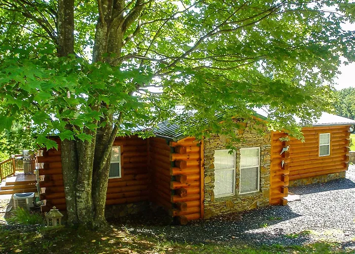 Cabin Fever