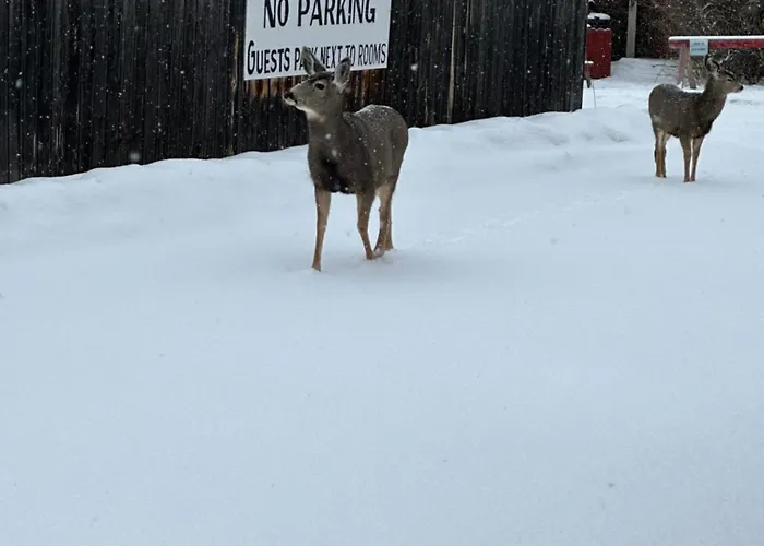 Deer Lodge