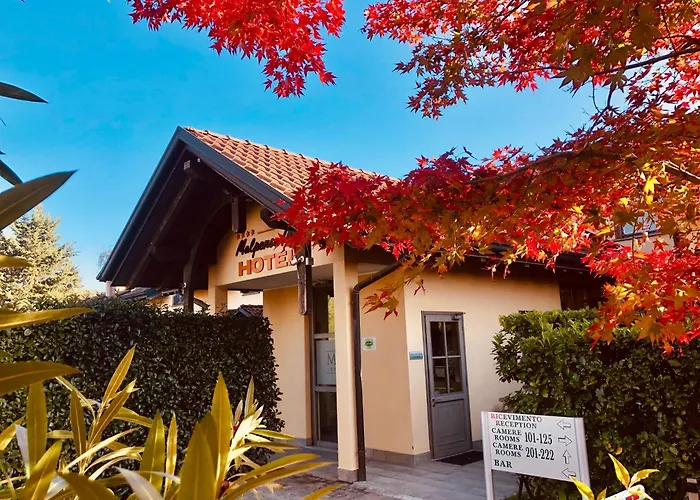Hotel Malpensa Inn Aeroporto