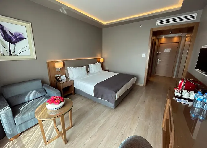 Holiday Inn Bursa - City Centre By Ihg