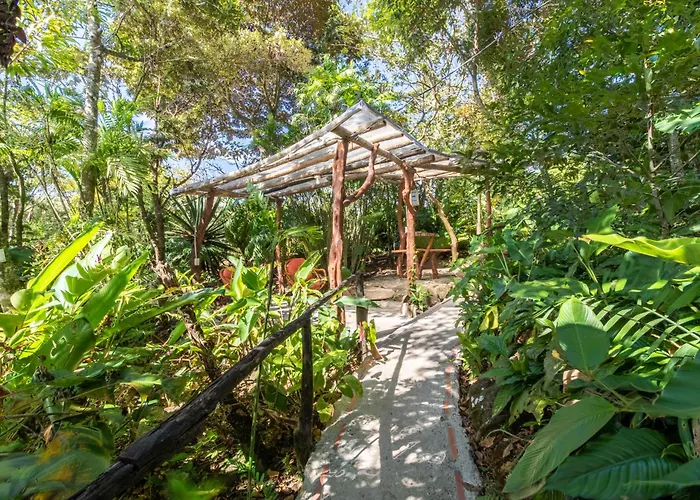 Hotel Claro de Luna Monteverde