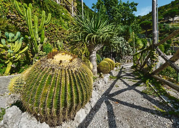 Hotel Botanico San Lazzaro