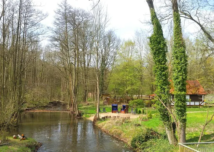 Neue Mühle Hotel&Restaurant
