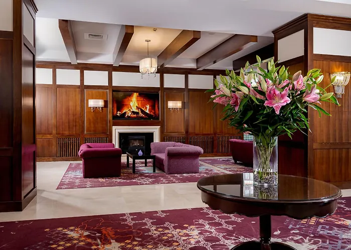 Hotel International