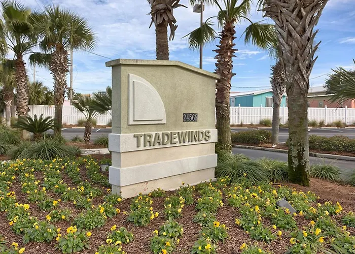 Tradewinds 501