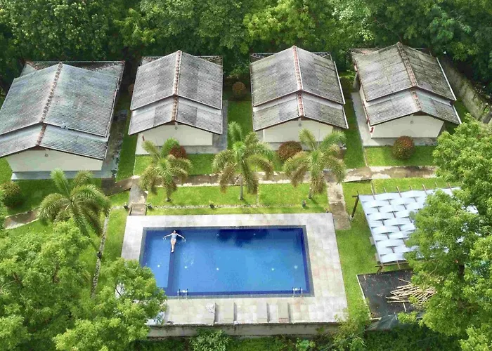 Jungle Paradise
