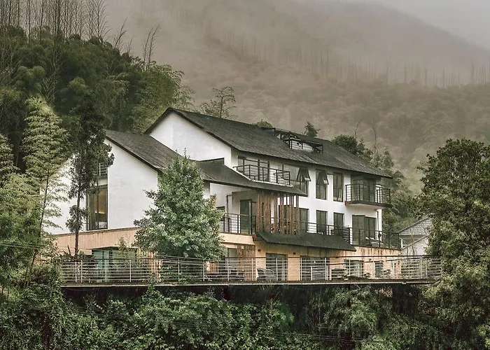 Moganshan Spring Mountain View B&B