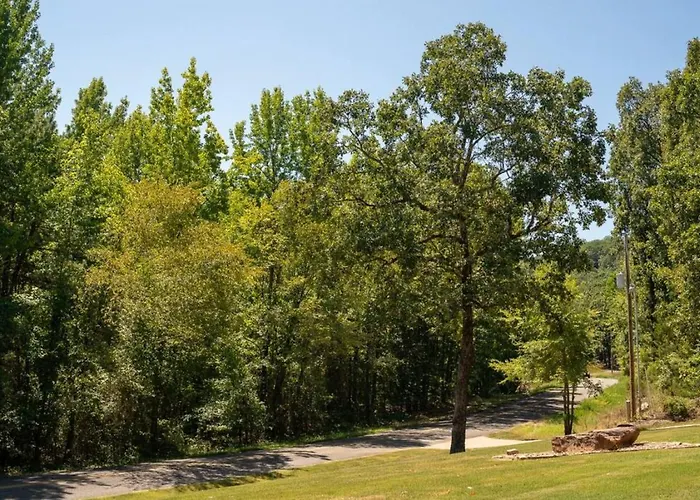 Timothys Timber Haven