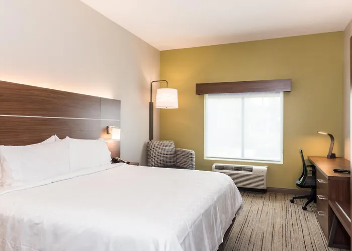 Holiday Inn Express Hotel & Suites Tampa-Usf-Busch Gardens By Ihg