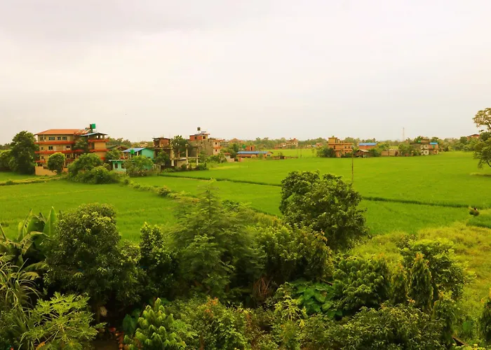 Hotel National Park Sauraha- Homely Stay And Peaceful Location With Jungle Safari Arrangements