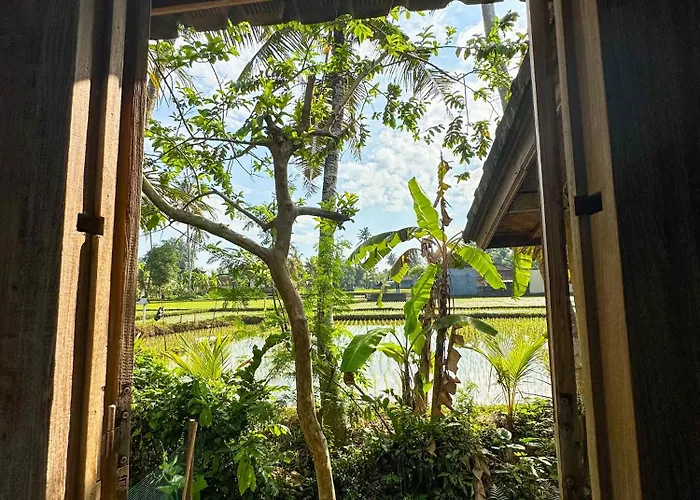 Nunu Bali Eco Friendly Retreat