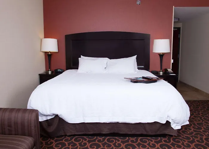 Hampton Inn & Suites Dickinson Nd