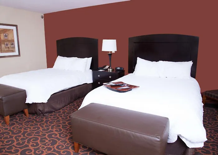 Hampton Inn & Suites Dickinson Nd