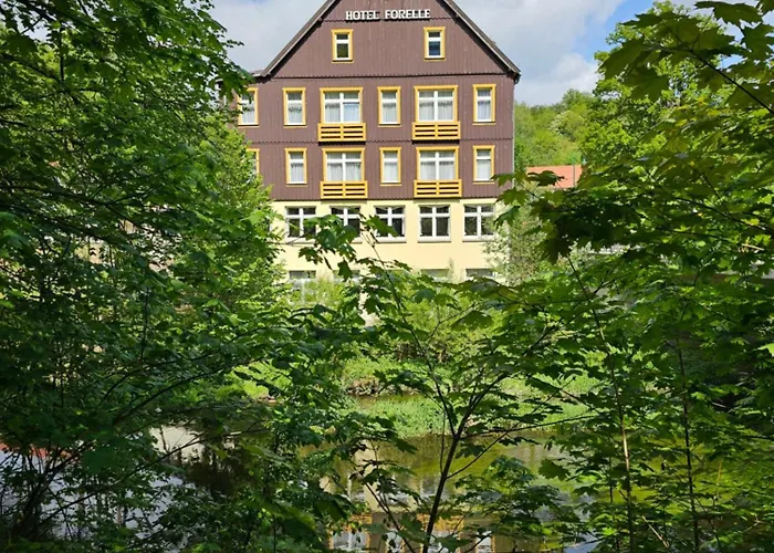 GreenLine Ferienhotel Forelle