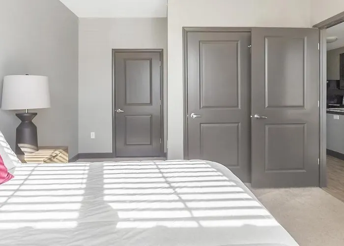 Landing Modern Apartment With Amazing Amenities
