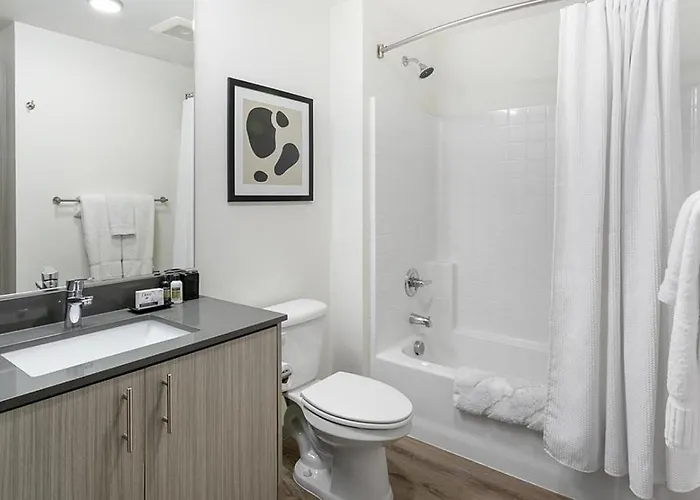 Landing Modern Apartment With Amazing Amenities