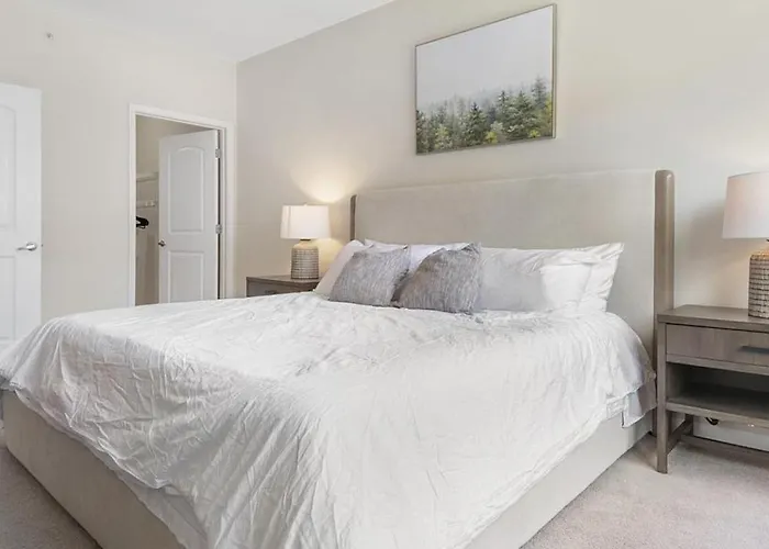 Landing Modern Apartment With Amazing Amenities