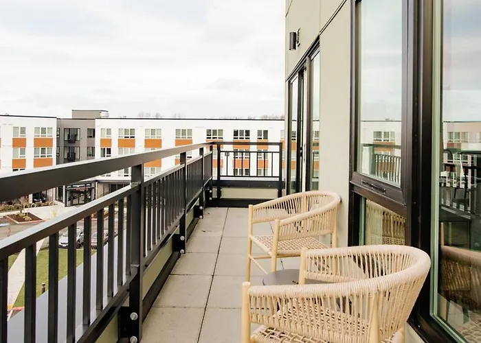 Landing Modern Apartment With Amazing Amenities