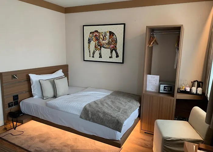 Hotel Rallye & Entrees Aux Bains De La Gruyere