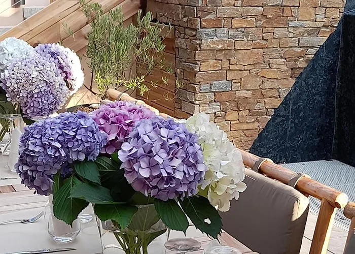 Hotel Casa Mea