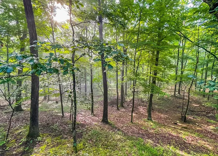 Hot Tub, Screened Porch, Grill, Wifi - Huge Cabin!
