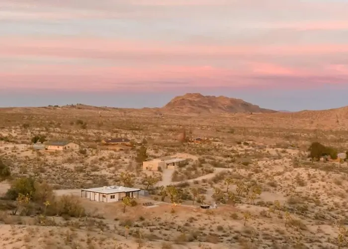 Kinetic House-Joshua Trees Sculptures Cowboy Pool