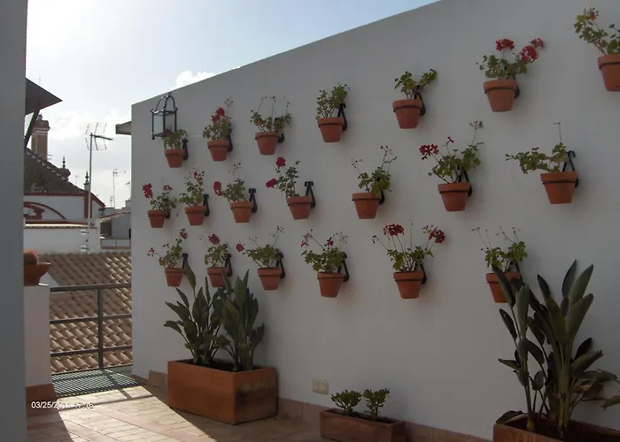 Hotel Murillo
