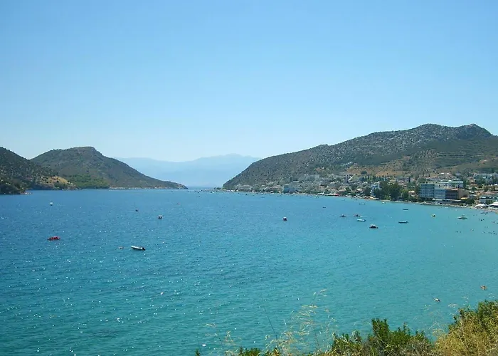 Barbaressa