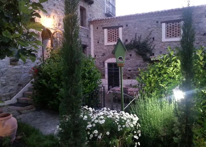 La Gatta sul Tetto