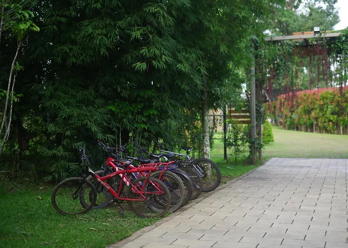 Coffee Greens Resort