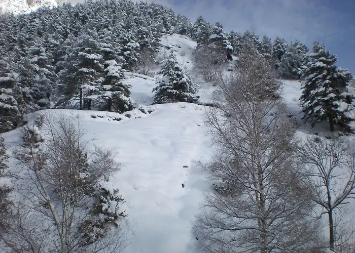 Hotel Montane