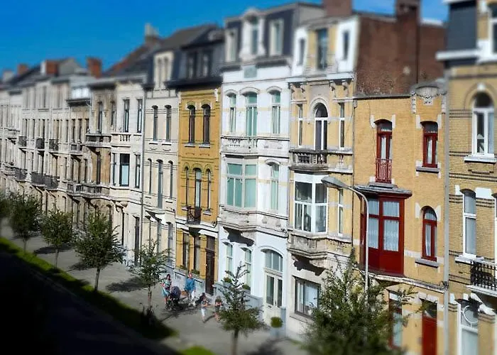 B&B Kava Antwerpen