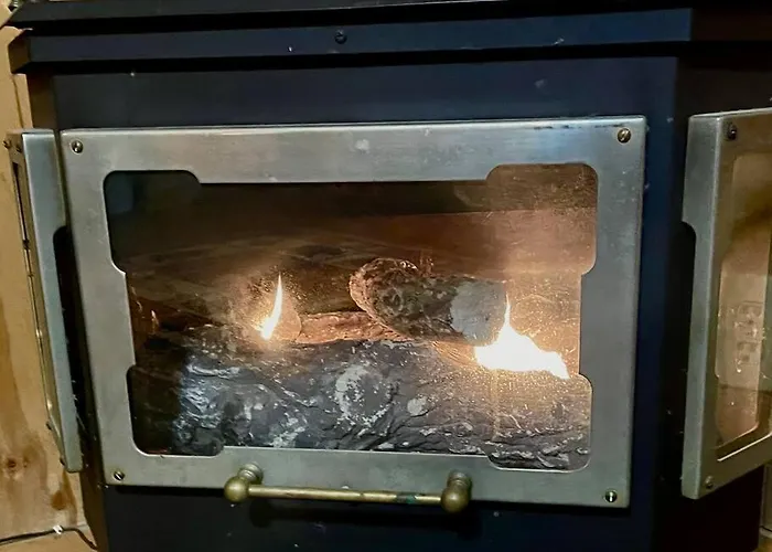 Alpine Mountain Studio Fireplace Helen #4