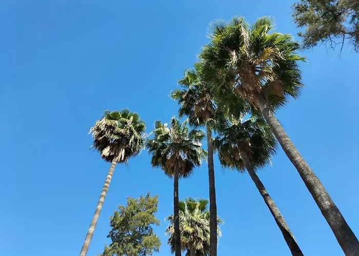 Vas Málaga Ciudad
