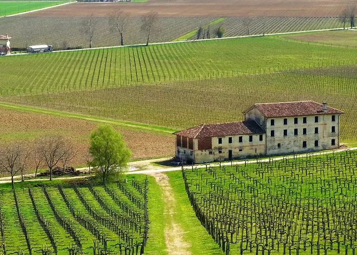 Hotel Conta Taste The Experience