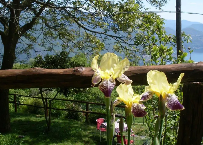 Agriturismo Da Attilio