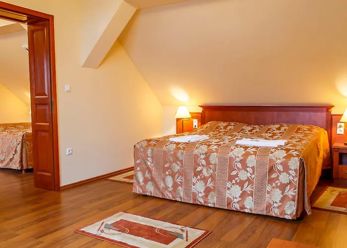 Pannon Hotel Maganparkoloval, With Private Parking Lot, Bejelentkezes 20 Oraig,Check-In Until 20 O'Clock