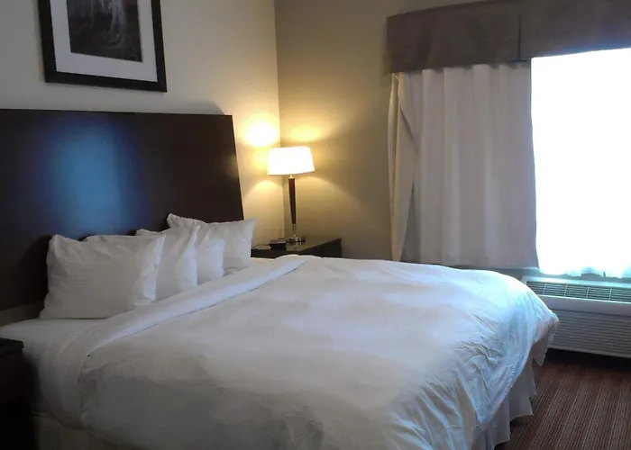 Sigma Inn & Suites Hudson'S Hope
